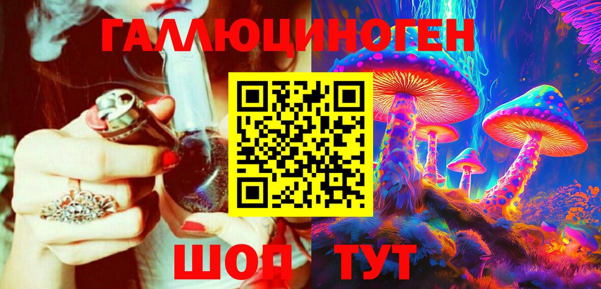 Галлюциногенные грибы Psilocybine cubensis Фролово