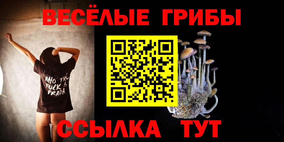 Фролово  Псилоцибиновые грибы мицелий  Вход с VPN 